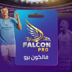 اشتراك فالكون سنتين - ضمان ذهبي