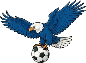 فولتشر تي في